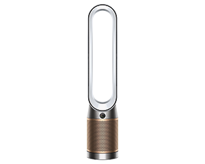 Dyson Purifier Cool De-Nox TP12
