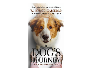 A Dog's Journey (MTI)