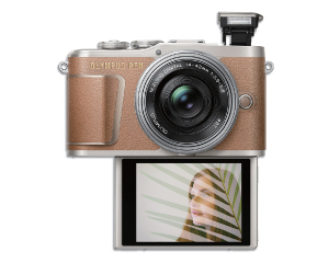 OLYMPUS PEN E-PL9 with 14-42mm Lens