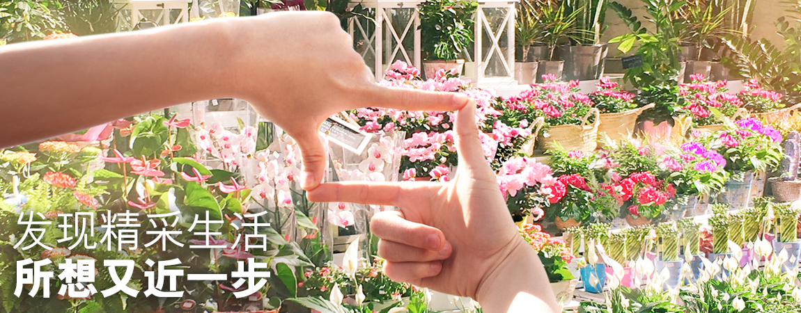最紅全年优惠