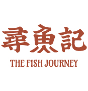 The Fish Journey